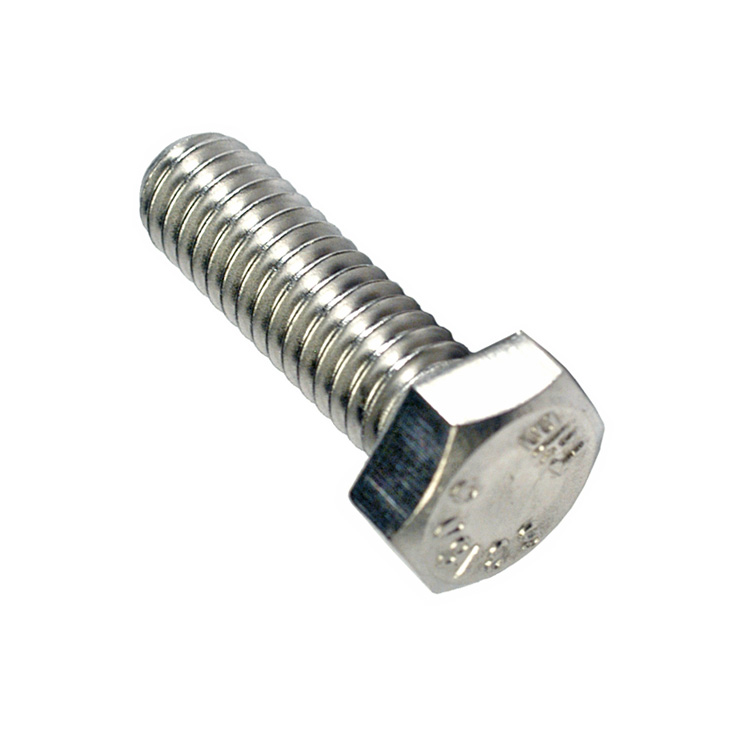 CHAMPION - M5 X 35 S/STEEL SET SCREWS